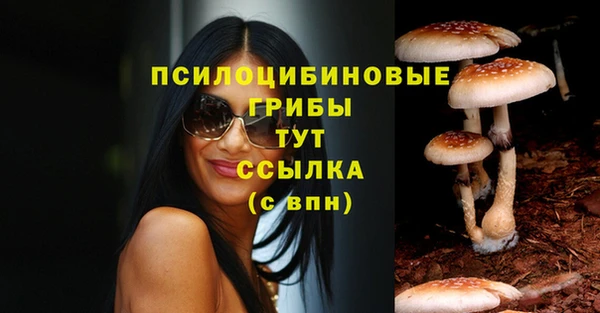 не бодяженный Алексин
